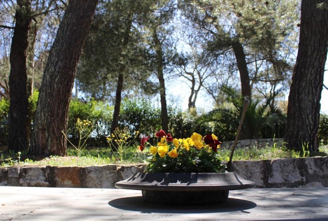 Trulli Pinnacoli *